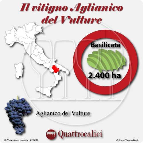 Il Vitigno Aglianico del Vulture e la sua coltivazione in Italia