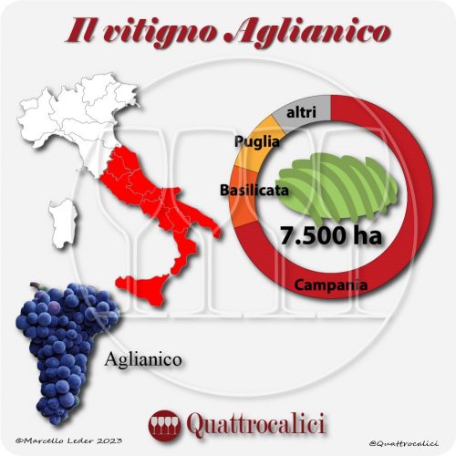 Il Vitigno Aglianico e la sua coltivazione in Italia