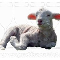 Agnello di Sardegna IGP