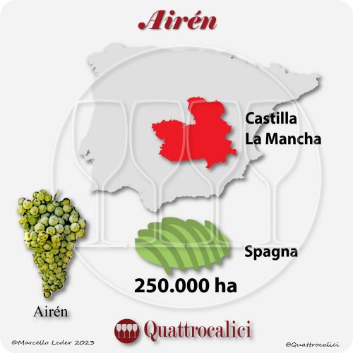 Il vitigno Airén