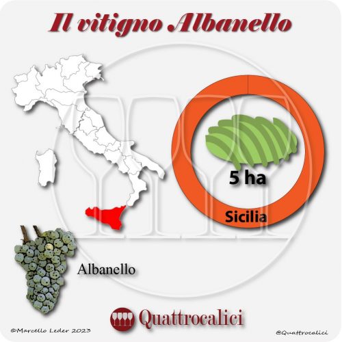 Il Vitigno Albanello e la sua coltivazione in Italia