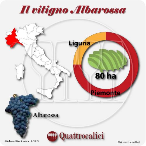 Il Vitigno Albarossa e la sua coltivazione in Italia