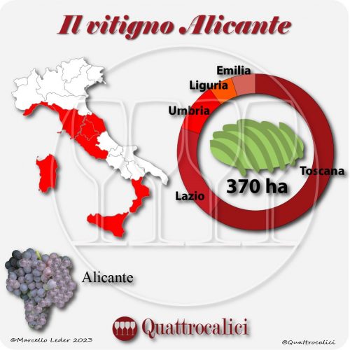 Il Vitigno Alicante e la sua coltivazione in Italia