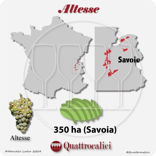 Il vitigno Altesse in Francia