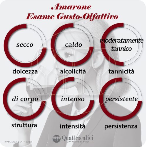 l'esame gustativo dei vini amarone