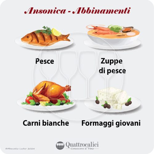 gli abbinamenti gastronomici dei vini ansonica e inzolia