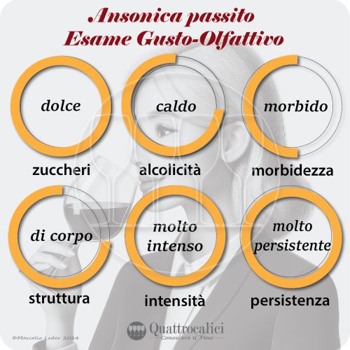 l'esame gustativo dei vini ansonica passito