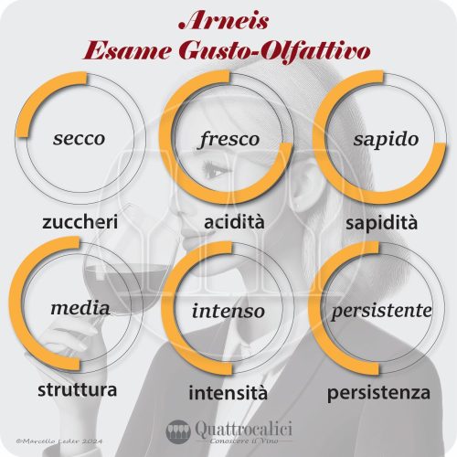 l'esame gustativo dei vini arneis