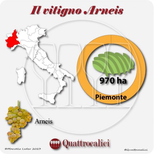 Il Vitigno Arneis e la sua coltivazione in Italia