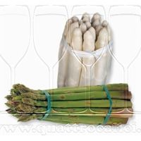 Asparago di Badoere IGP