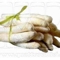 Asparago Bianco Cimadolmo IGP