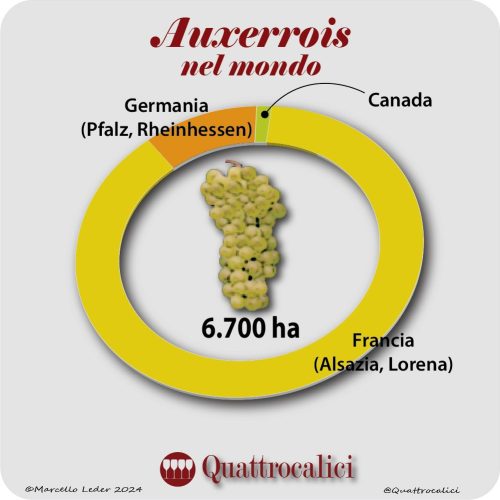 Il Vitigno Auxerrois nel Mondo