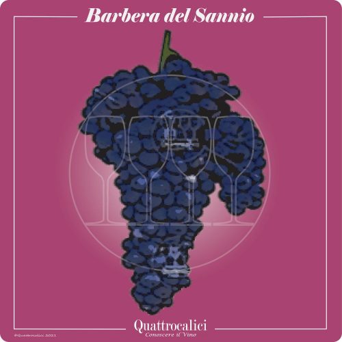 Vitigno  Barbera del Sannio