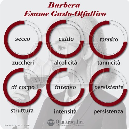 L'esame gustativo dei vini Barbera
