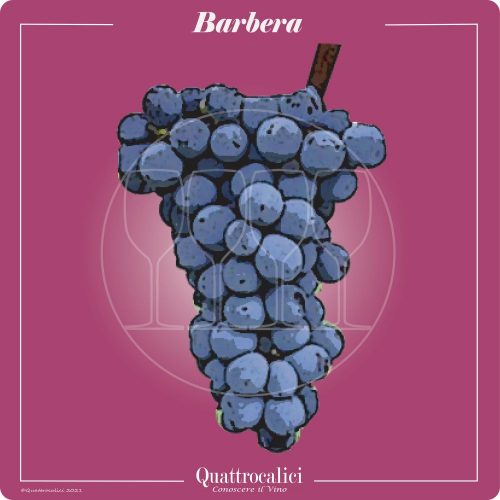 Vitigno  Barbera