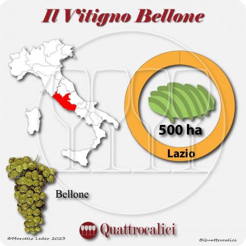 Il Vitigno Bellone e la sua coltivazione in Italia