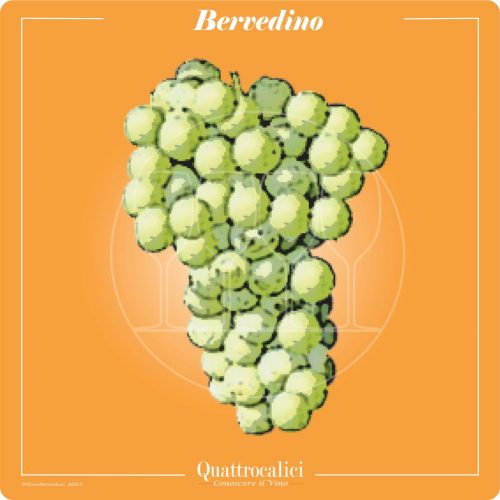 Vitigno  Bervedino