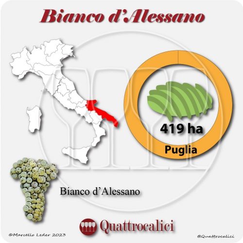 Il Vitigno Bianco d'Alessano e la sua coltivazione in Italia