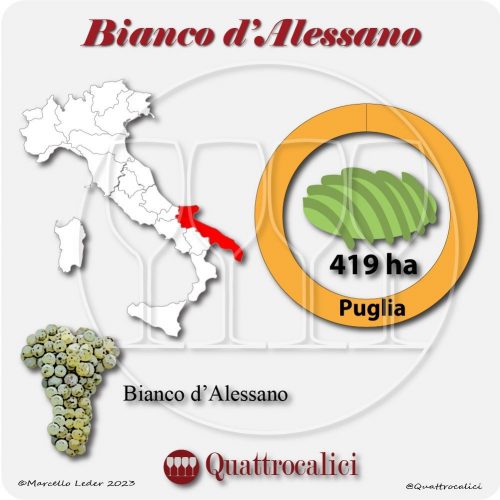 Il Vitigno Bianco d'Alessano e la sua coltivazione in Italia
