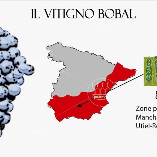 bobal vitigno