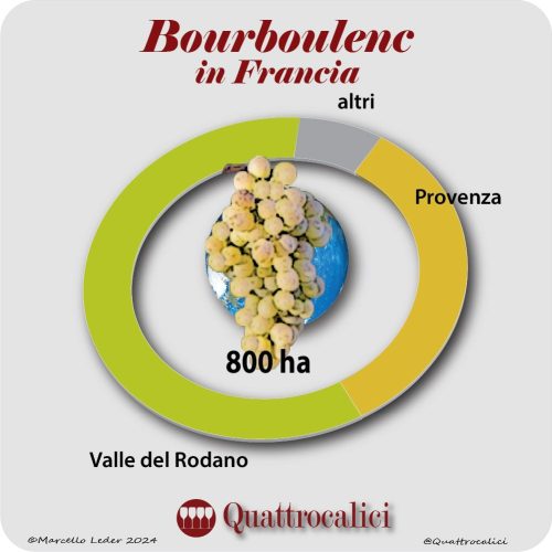 il vitigno Bourboulenc in Francia