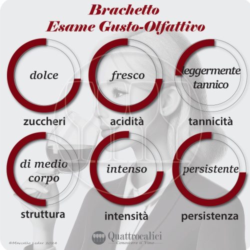 L'esame gustativo dei vini Brachetto