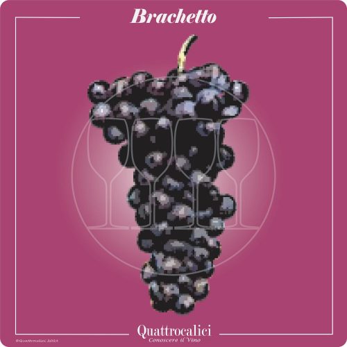 Vitigno  Brachetto