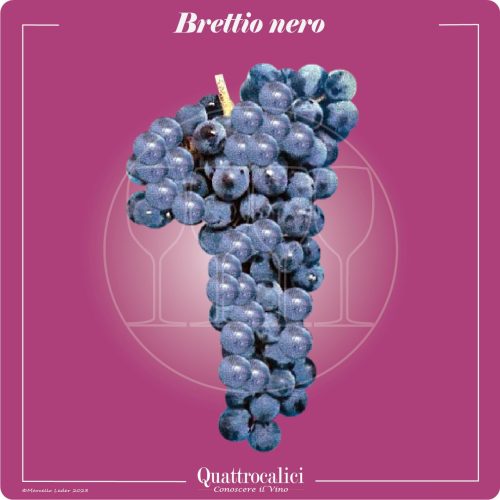 Il vitigno Brettio nero
