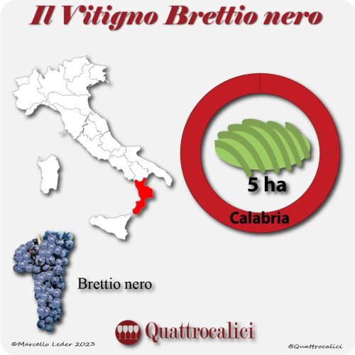 Il vitigno Brettio nero in Italia