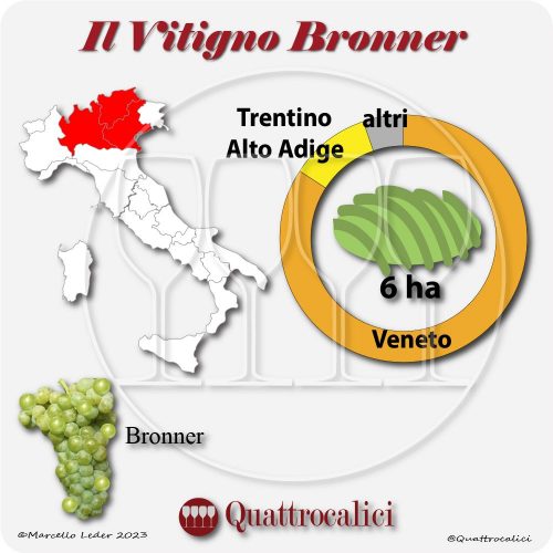 Il Vitigno Bronner e la sua coltivazione in Italia