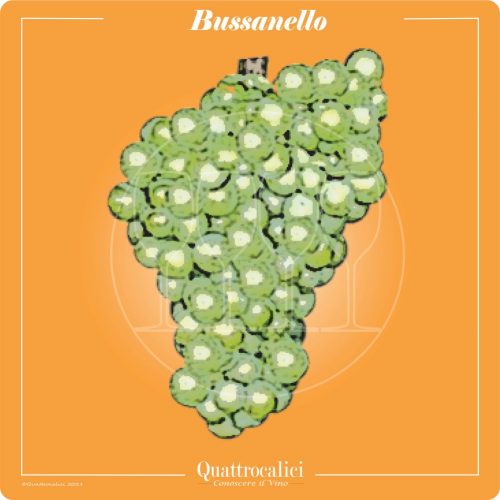 Vitigno  Bussanello