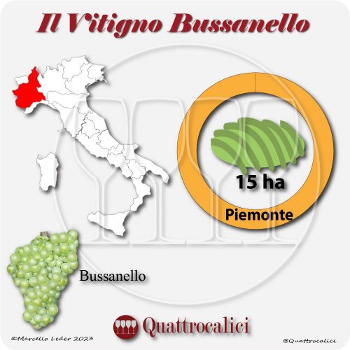 Il Vitigno Bussanello e la sua coltivazione in Italia