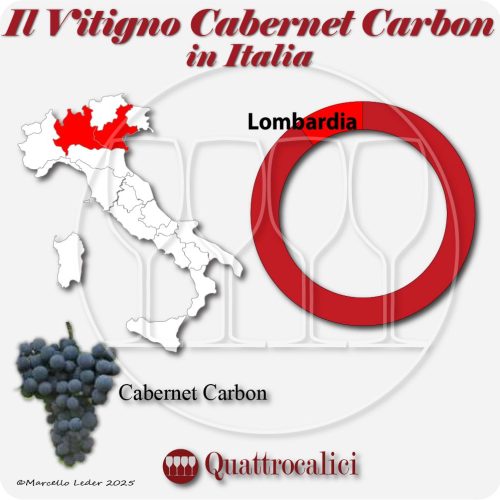 Il vitigno Cabernet Carbon in Italia