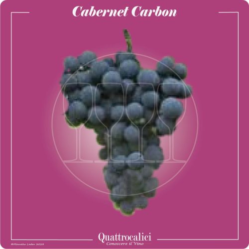 Il vitigno Cabernet Carbon