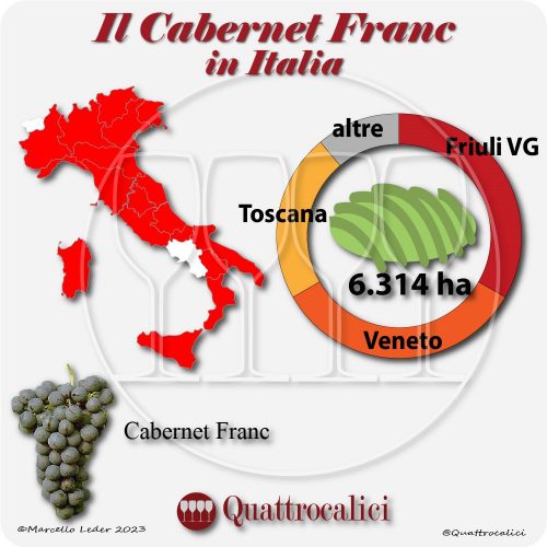 Il Cabernet franc in Italia