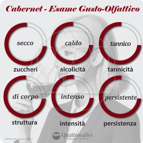 L'esame gustativo dei vini cabernet