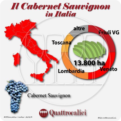 Il Cabernet sauvignon in Italia