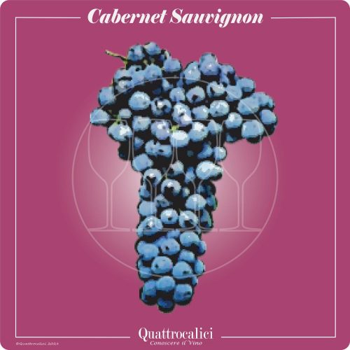 Vitigno  Cabernet Sauvignon