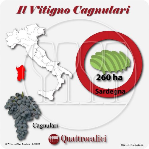 Il Vitigno Cagnulari e la sua coltivazione in Italia