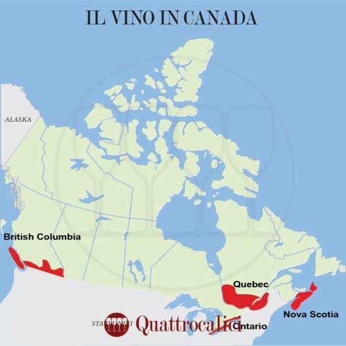 il vino in canada