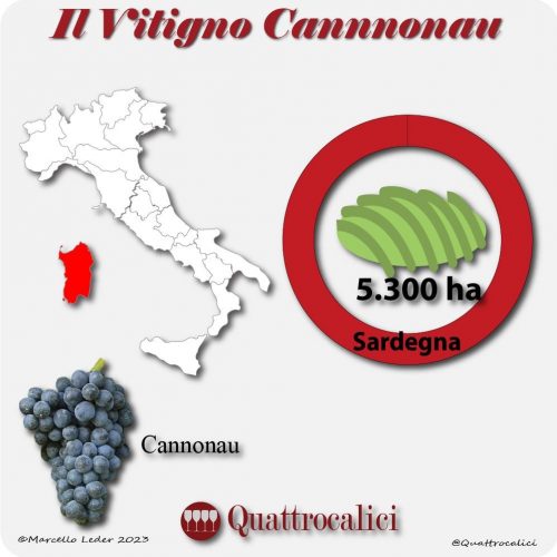Il Vitigno Cannonau e la sua coltivazione in Italia