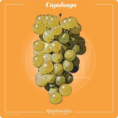 Vitigno  Capolongo