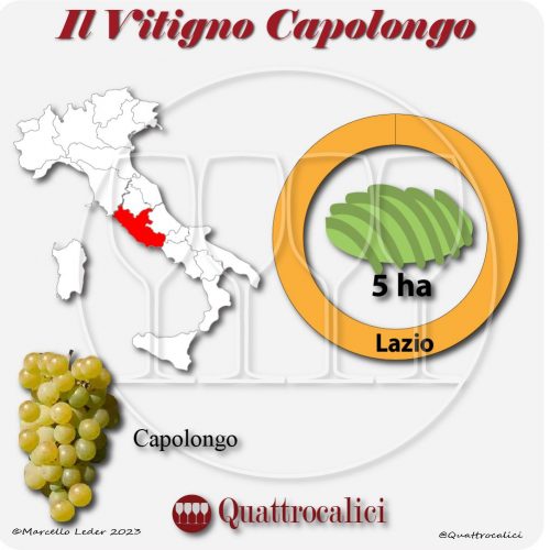 Il Vitigno Capolongo e la sua coltivazione in Italia