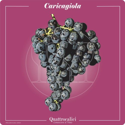 Vitigno  Caricagiola