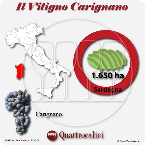 Il Vitigno Carignano e la sua coltivazione in Italia