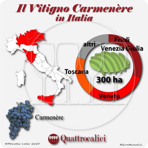 Il Carmenère in Italia