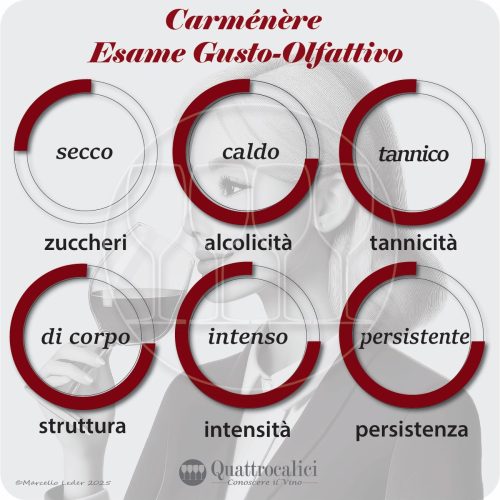 L'esame gustativo dei vini Carmenere