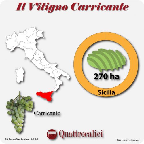 Il Vitigno Carricante e la sua coltivazione in Italia