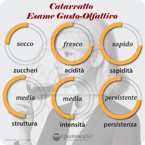 L'esame gustativo dei vini Catarratto