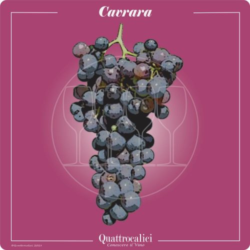 Vitigno  Cavrara